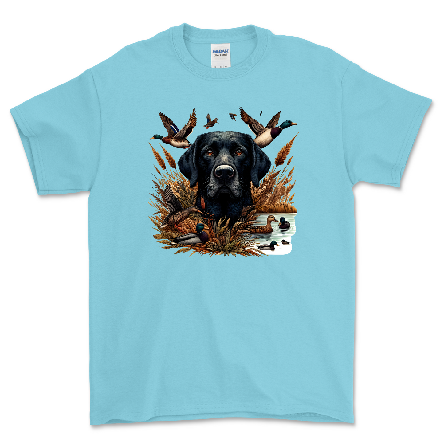 Duck Hunting Dog