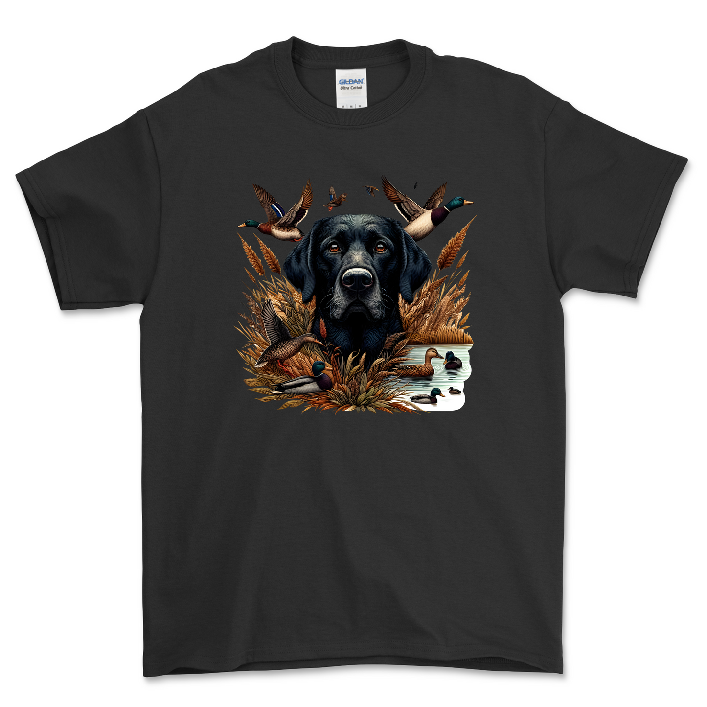 Duck Hunting Dog