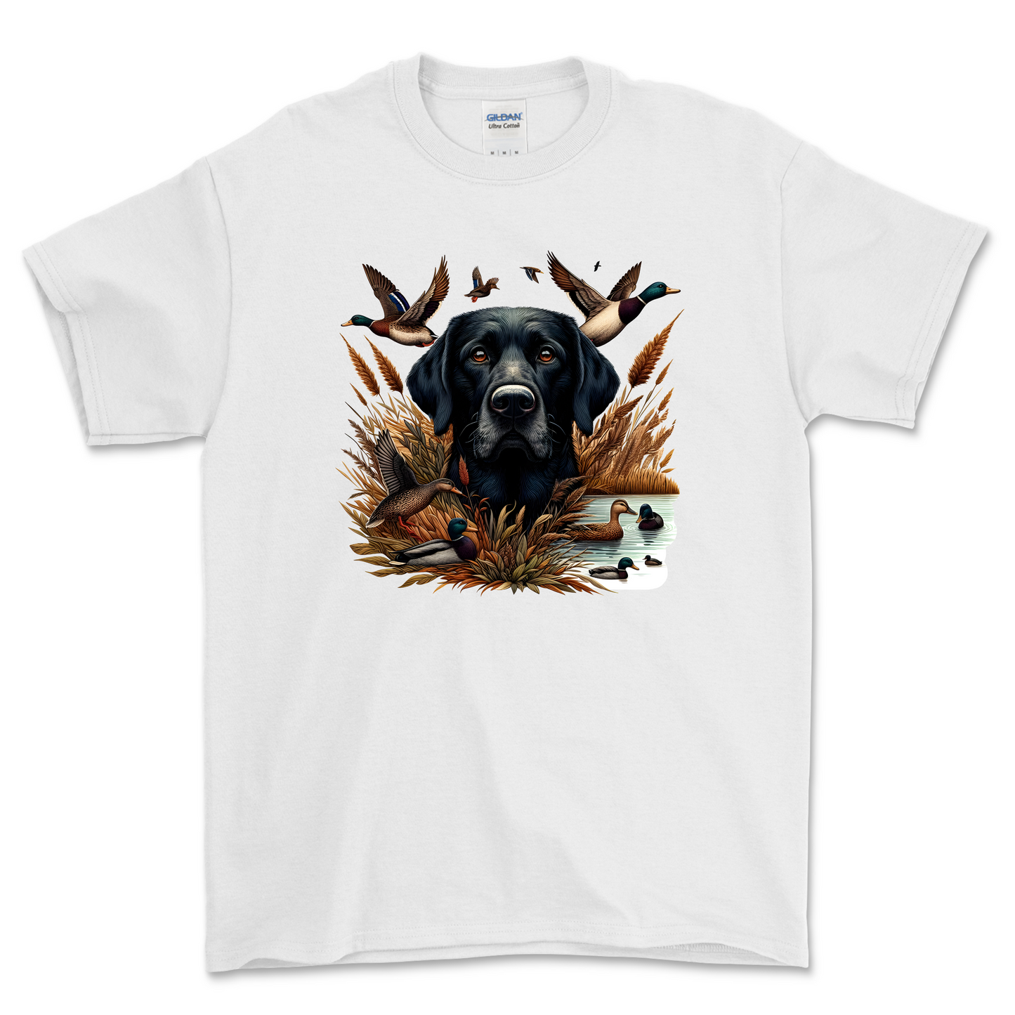 Duck Hunting Dog