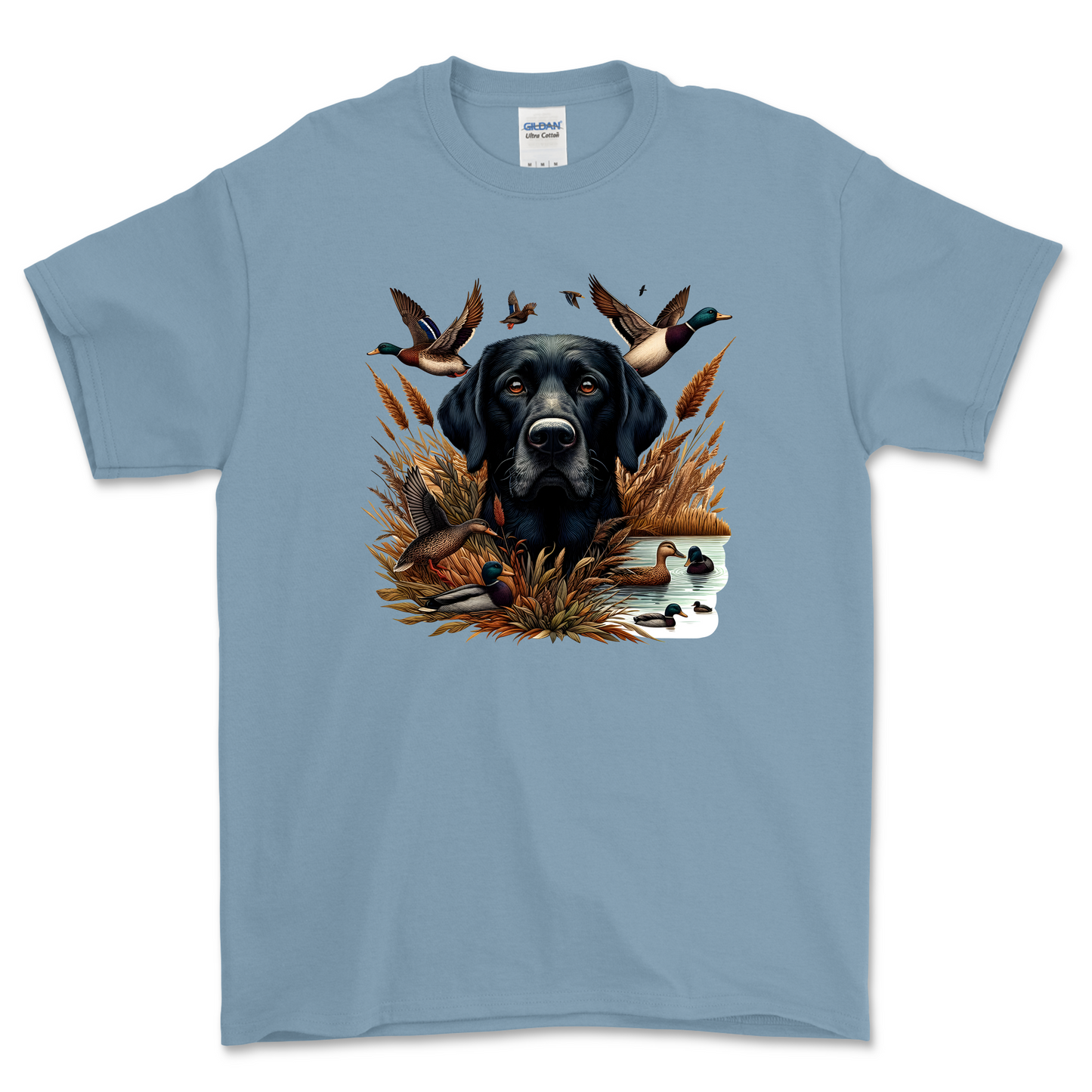Duck Hunting Dog