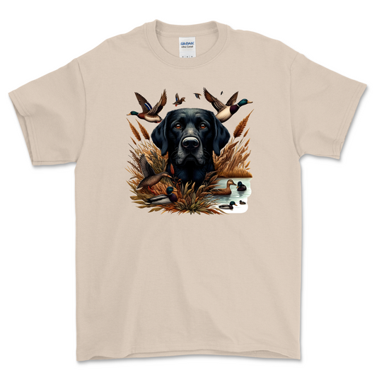 Duck Hunting Dog