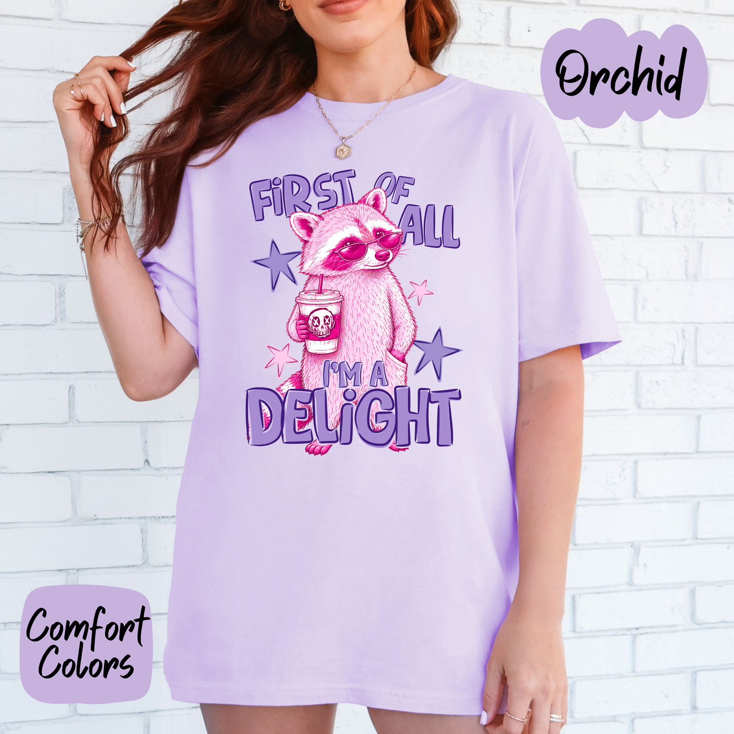 I'm a Delight Raccoon Comfort Colors T-Shirt